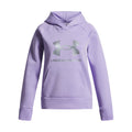 Ua Rival Fleece Shimmer Hoodie Junior Girls Transparent Iridescent